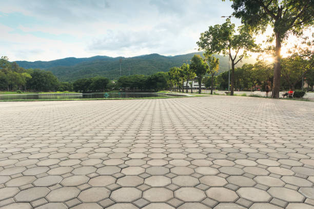 Best Custom Driveway Pavers  in Watertown, NY